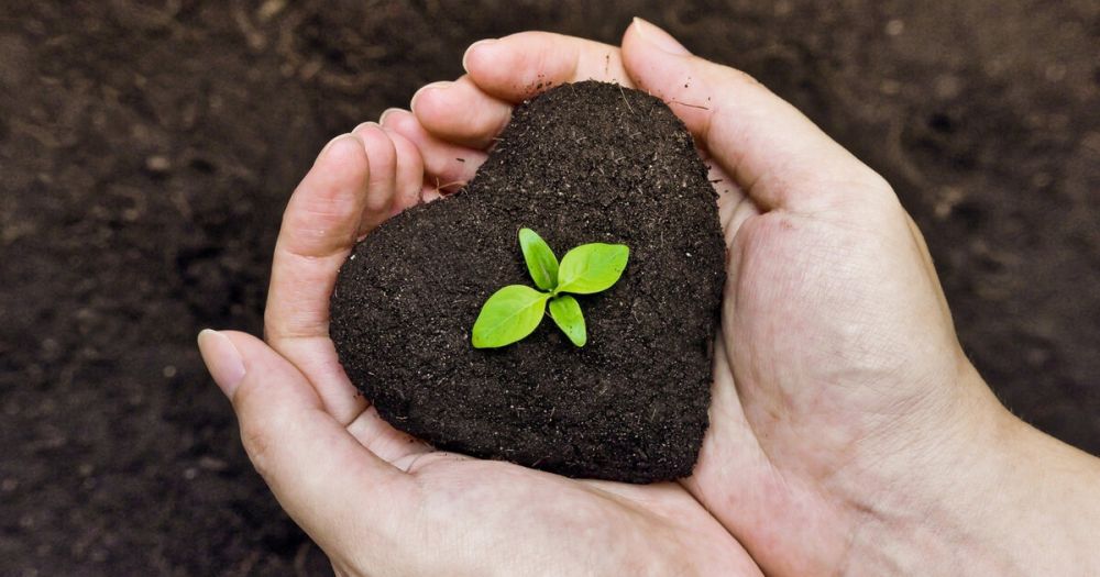 � ���������� �������� ������ �����������, ����������� ���������� ��� �����