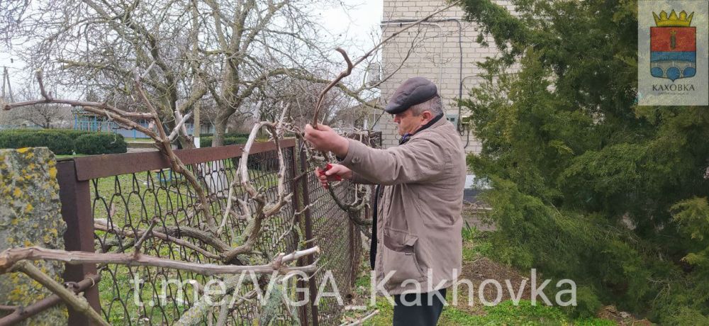 � ���������� ������������� ��������� �������� ������� ������������ ����������� � ����������� ������