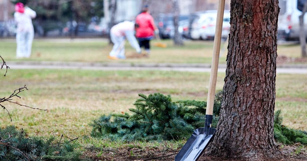 ��������� �� ���������� ������� ������ ���������� ����������