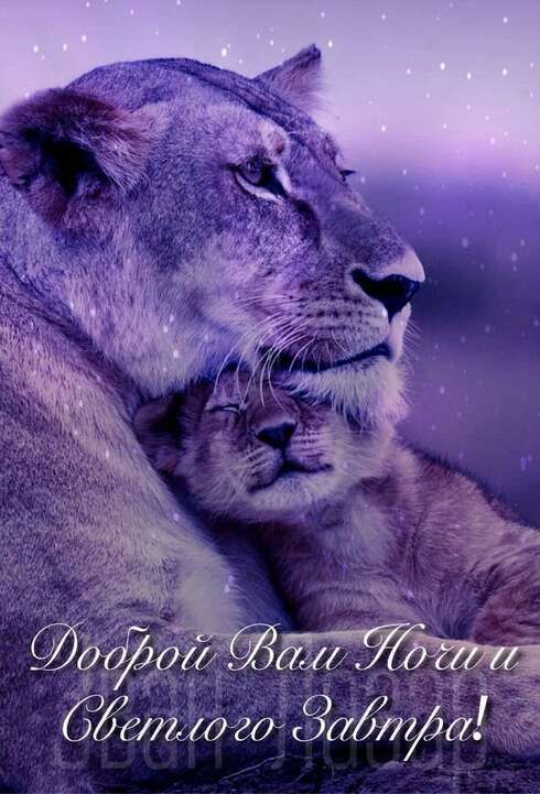 ������ ����. � ������� ������ �������� ������ ����������� ���� ����