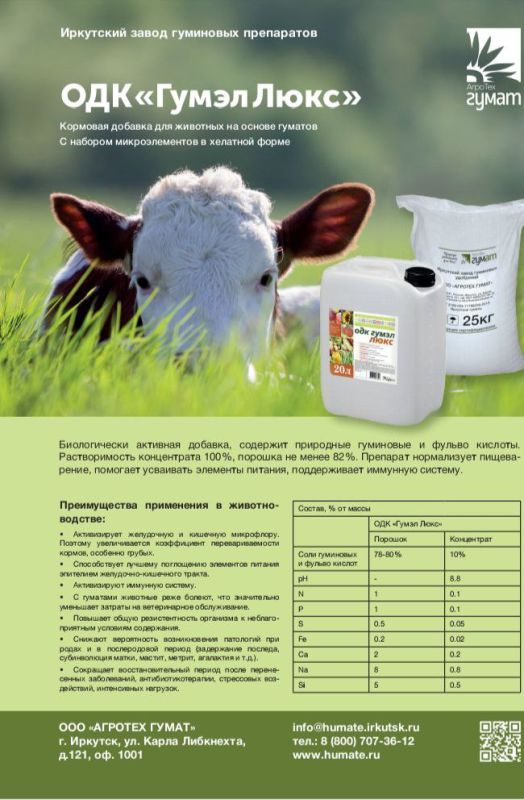 �������� ��������������������������� ���������� �������