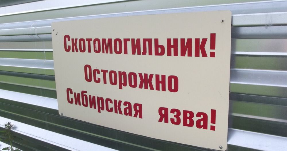 ���� ����� ��������������� ��������� ���� � ���������� �������