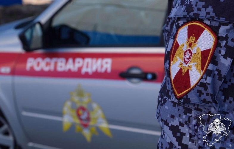 ������� � ����������� ������� ���������� ������������ � ��������������� ����������� � ����������� ���������� �������