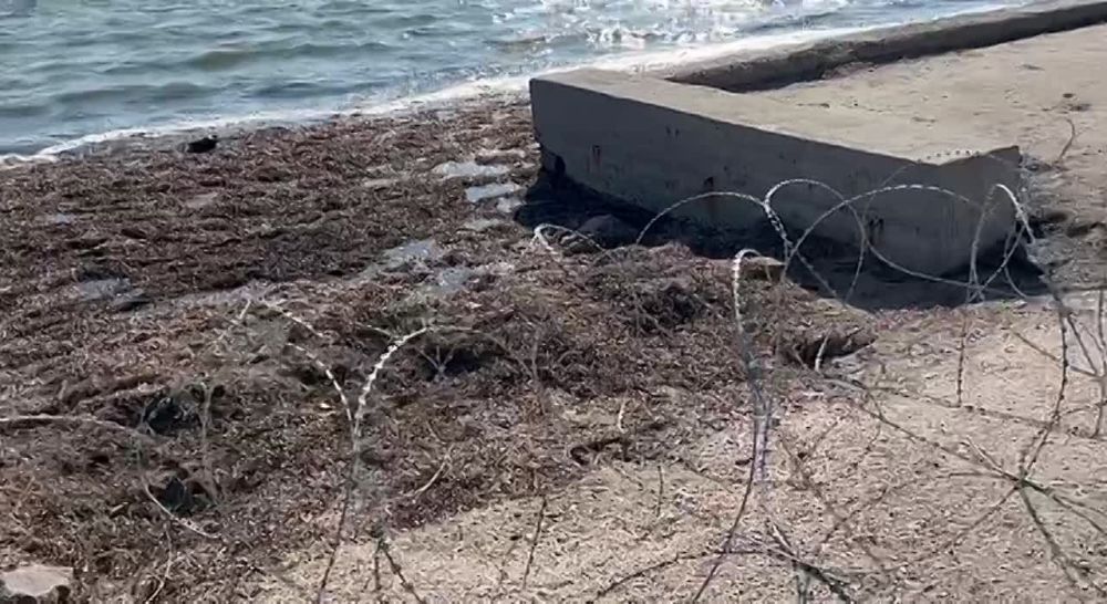 ����� ��������: �� �������� � ��������� ����� �������� � ������