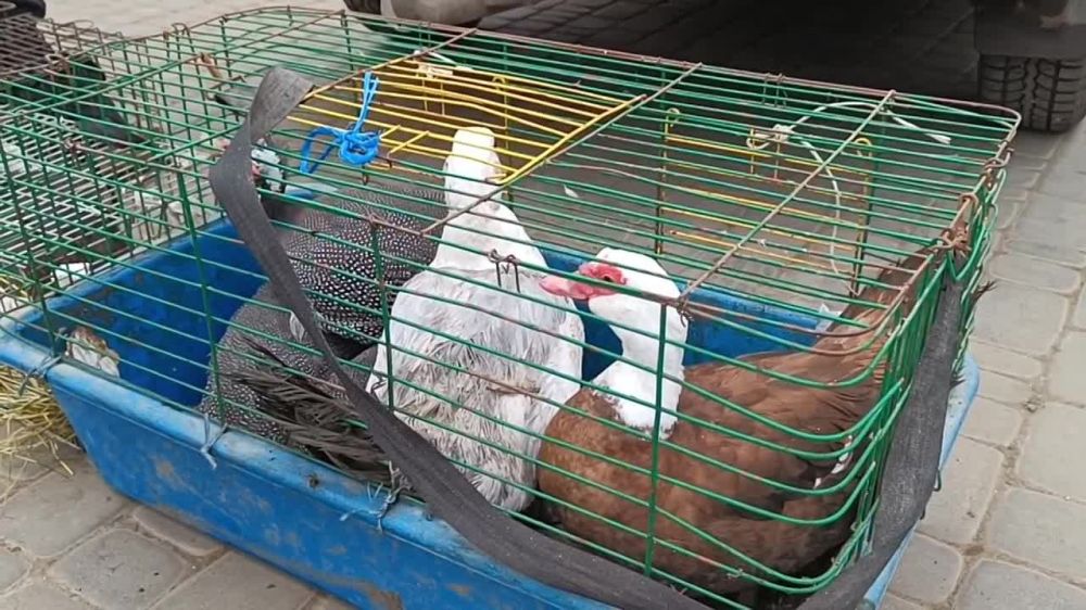 25 ����� � ��������� ������ ������ �� ����� �������� ������� �������������������� ���������