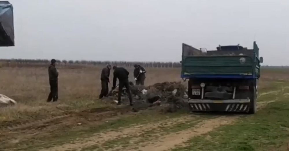 � ���������� ������� ������� ������ ���������� ��������