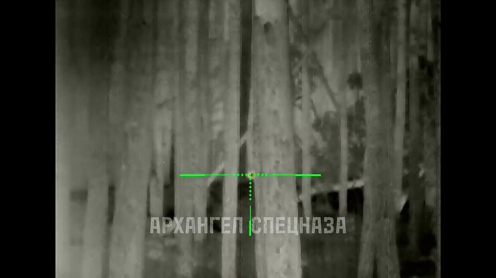 � ��� ��� �������� ���������� ��������