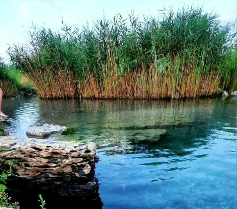 �� ��� ��������� �������� �� ��������� ���������������� ������������ ������ ��������� ��������� ����� � ������: