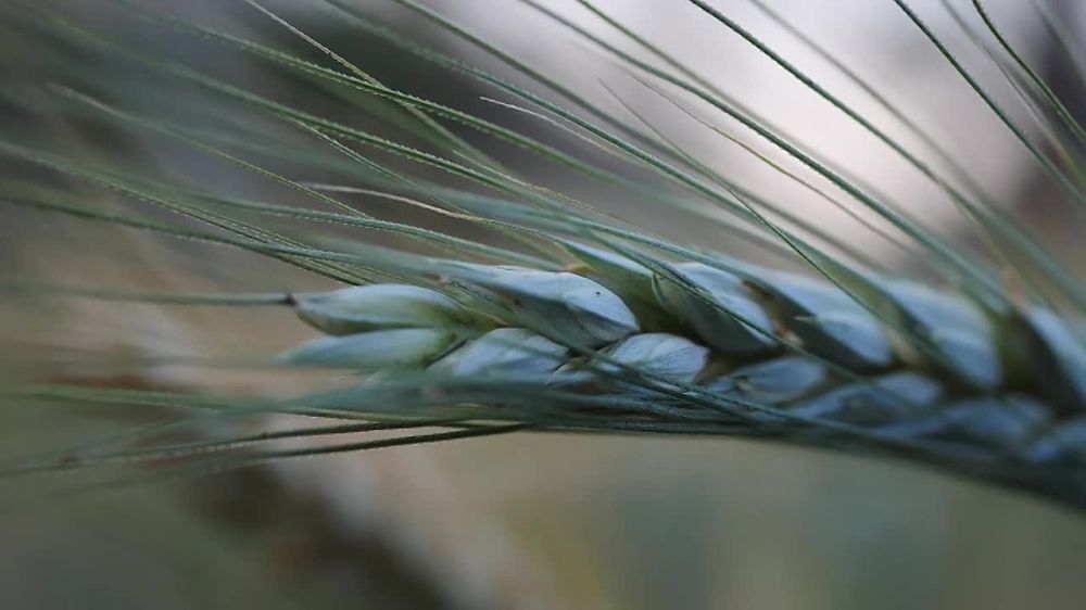 ��������� ��������������������!