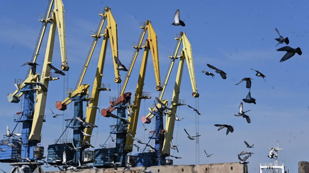 ����� �������. ������ �� ������� ������ ������ � �������� ��������� ������������� ���� � ���, ��� � ����������� � ���������� �������