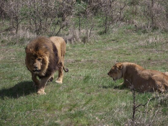 �������� �� ��������� ����� �������� ���������� ������� ����� � �����