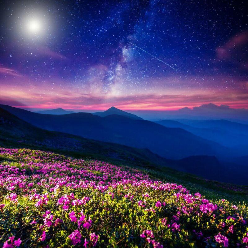 ������ ����. �������� �� ����� ����, ���� � ������� � ������� ������ ����� ���������. ����� �������� �����, ������� � ���� ������ �����������. ���� ���������� ���� ������� ��� �������