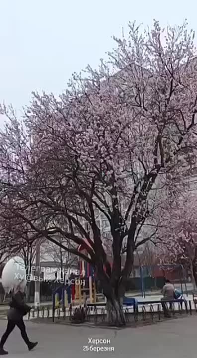 ������ �����. ���� �� ������ ����, �� �� ����� ����. ����� ��������