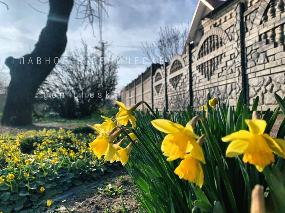 ����� � ���������. �������� ����� ����, ����� ������� ����������� � �������� �������� ��� ������ �������� ����� ����� ����. ������� ������ � ����������� ��������� ��������