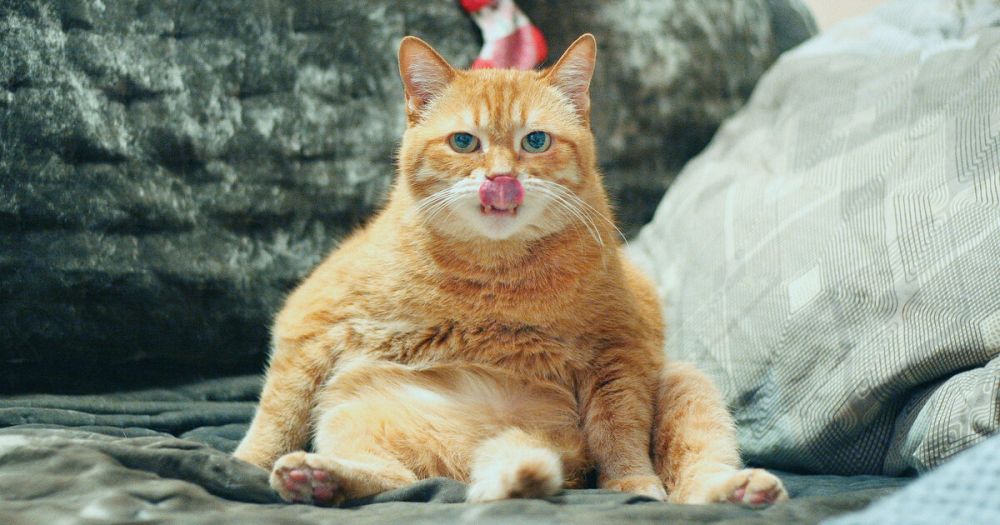 ���������� ����������� ���������� ����������� � ���������� ������� ��������