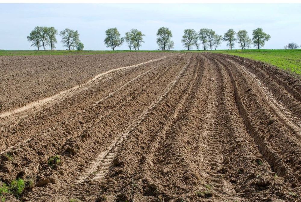 �� ���� ������ ������� ������� ����� ���������������� ������������� � ������� ��������� �������������, ����������������� � ����������������������