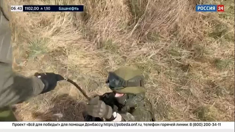 �� ��� ������������ �������� ������� � ���������������