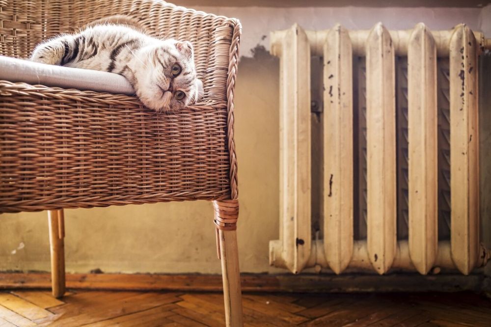 �� ������� ������ ��������� ���������