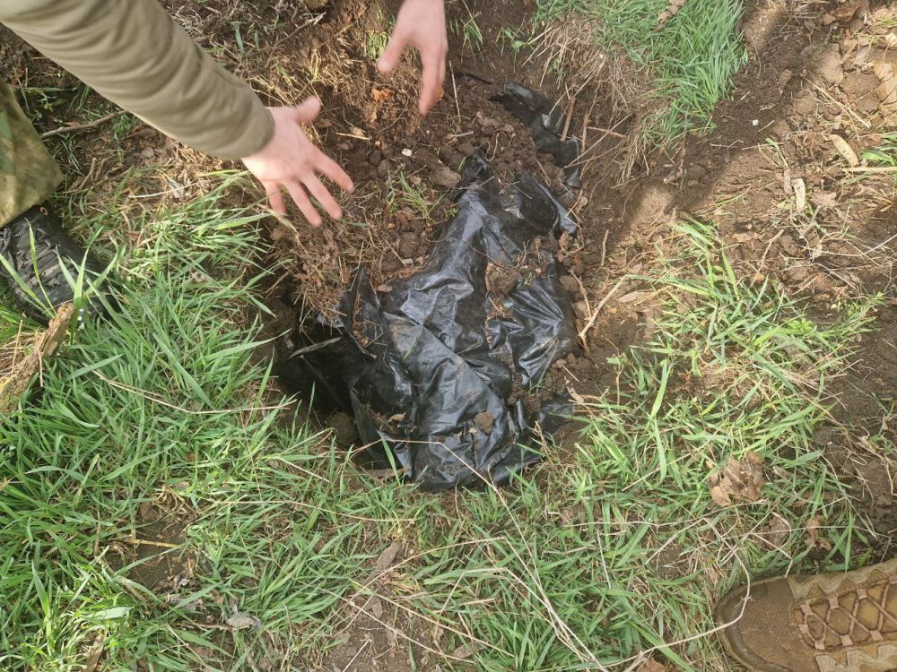 ����� �����: ��������� ����������� ������ �.�.�������� ���������� ���., �������� ���������� ����� ���������, ����-������