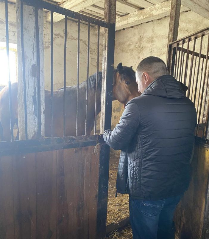 ��� ���������� ������������ ������� � �������� ��������� ��������� ������������ ������� �����������, ������ ��������� � ��������������� ������� ������������ ����