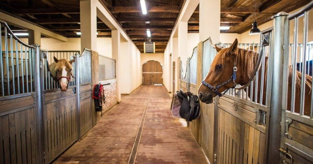 ������� � ��������������� ������� ������������ ����