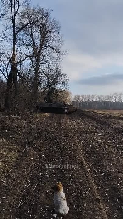 ���� �� �������: �������� ���� ��� ��������� � ���� �������� �� �������