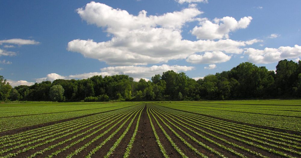 �������� ������ � ���������� ������� ������� � ����������� ��������