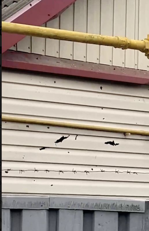 ���������� ������� ���������� ����� ���� ������ ������� � ����� ��������