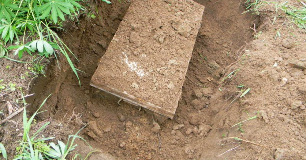 � ������� ����� � ����� �������� ����������� ����� ���� �� �� ��������� �����