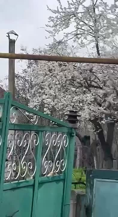 ����������� �������� ����� ��������