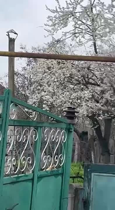 ������ ����������: ��� ��� ������� �������� ���� ������ ������� - ������� ����� ��������� � ����� ��������