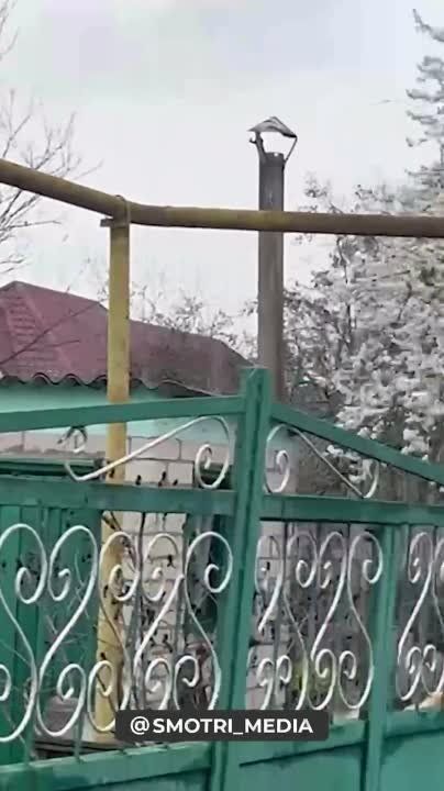 ����������� �������� ��� ����� ������ ������� � ����� �������� � ���� ���������� ���������, ������������ ���