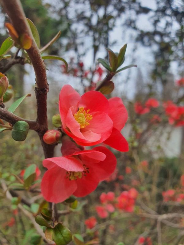 ������� ������������ ����� � �����