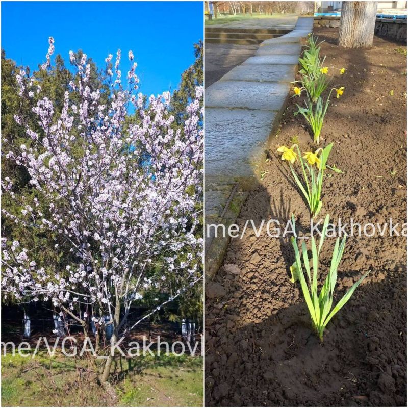 �� ������ ����������� �������� ������ �������� �����