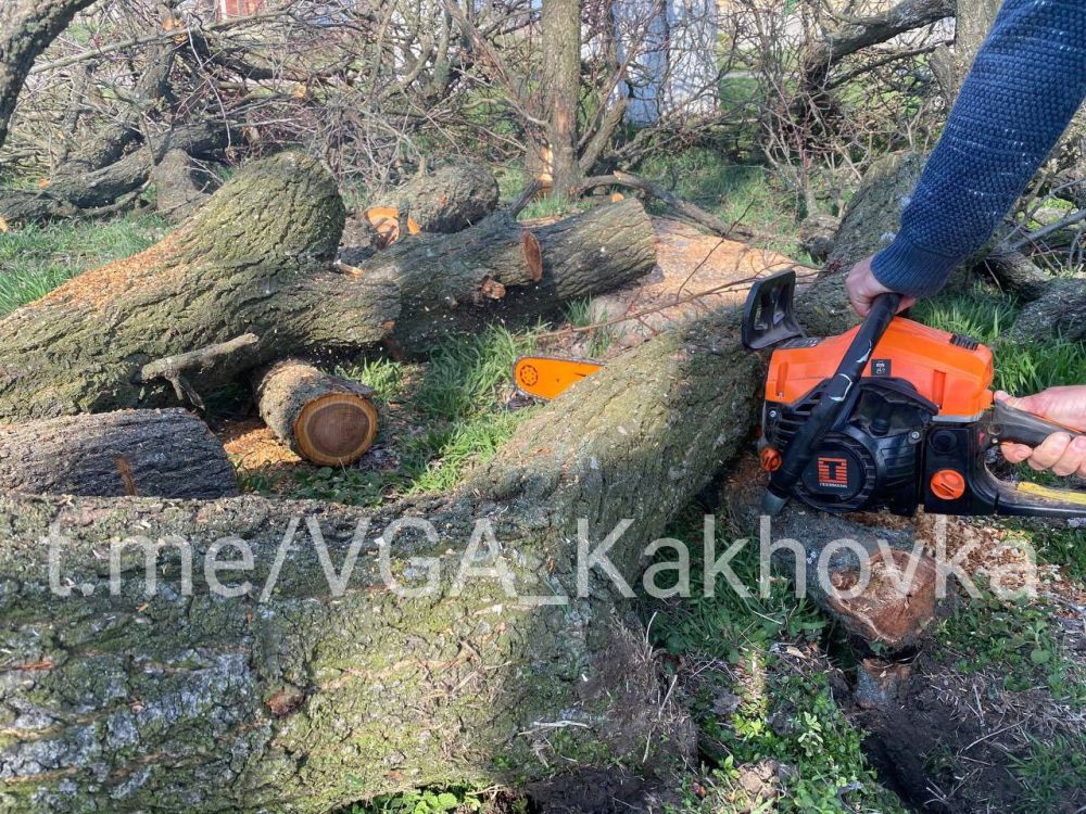 � ������������ �� ���� ��������� ������ �� ���������� �������� � ����� ��������� ��������