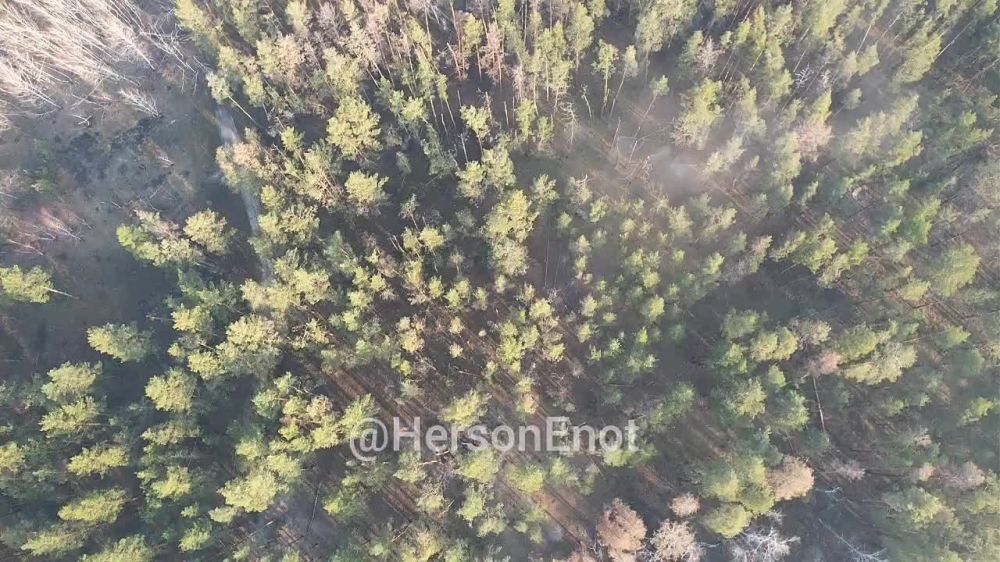 ���� �� �������: ������� � �������!!!. �� ����� ������� ������ �������� � ����� ���������� ���� �������� ������ ���������� ������� "���������"