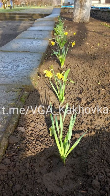 � ����������� �������� ������ �������� �����