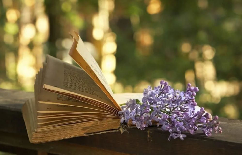 � ����������� ����������� �������������� ������ �������� ��������� ���� ������