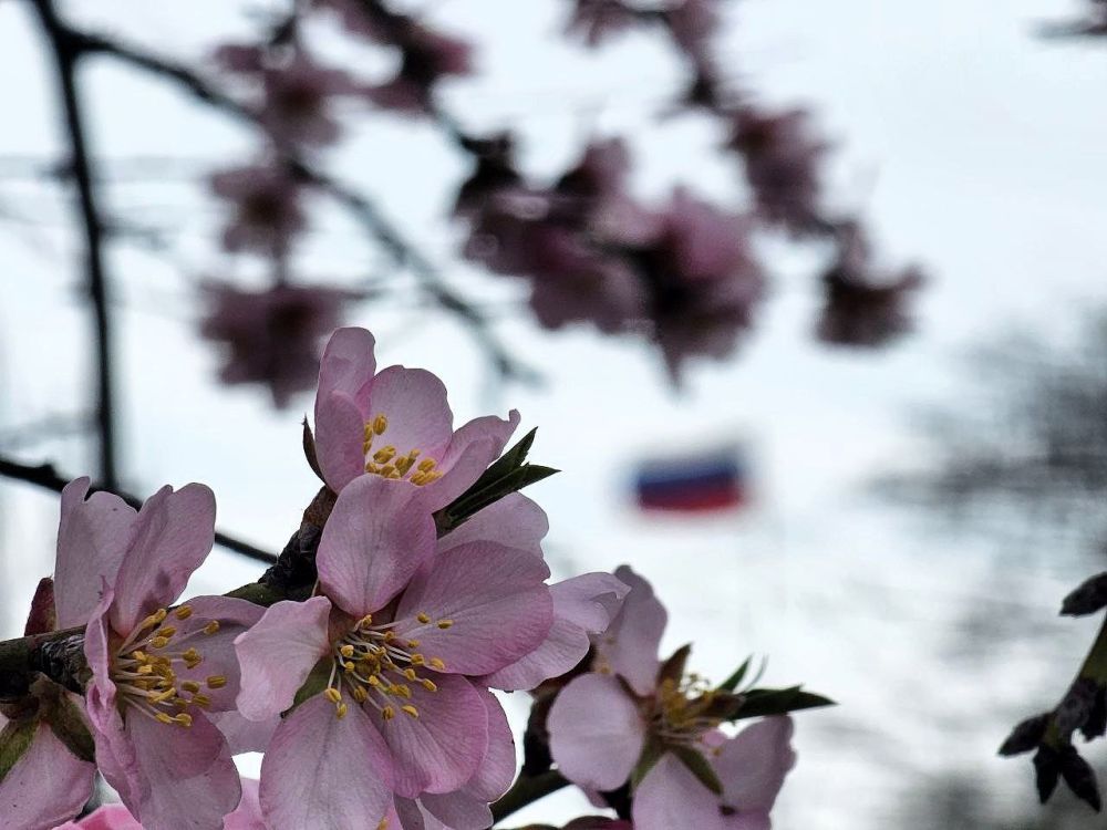 ***. � �� ����� ������ ������ �������