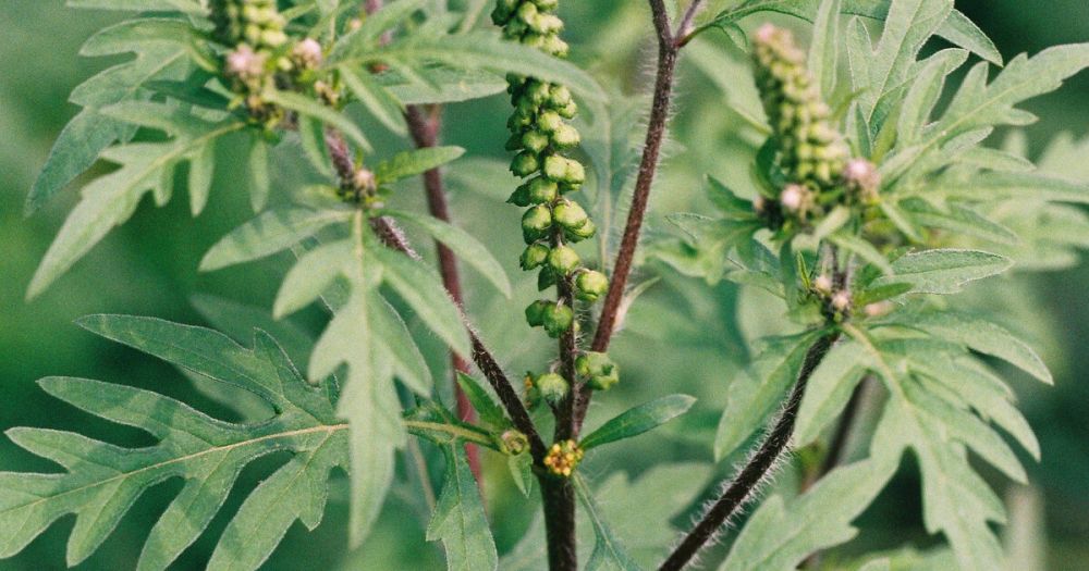 � ���������� ������� ��-�� ������������ ������� ����� ��������� ���� ����