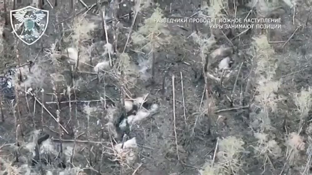 �������� �����: ������� ������������ ������� ������ ����� �� �������� �������� ���