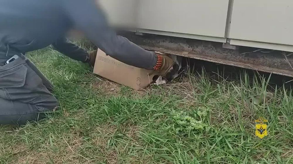 ����������� � ���������� ������� �� ���������� ����������� ������������ ���������� ������ � ����������