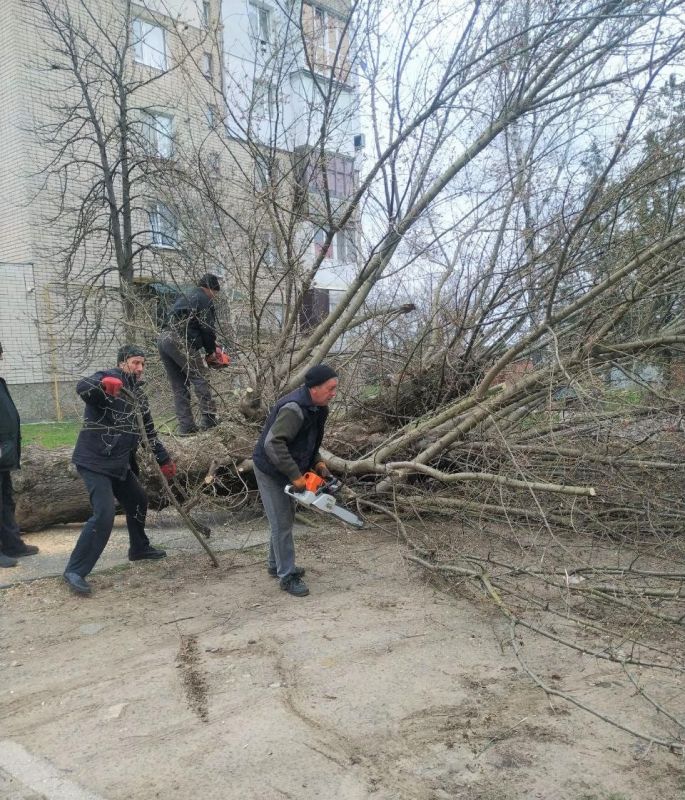 � ������������� ��������� ������ �������� �������� �������� ������