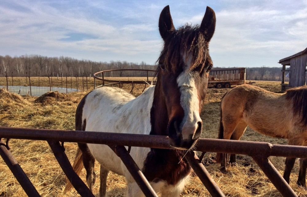 ������������ ������� ����� ��������� ������ ������ � ���������� �������