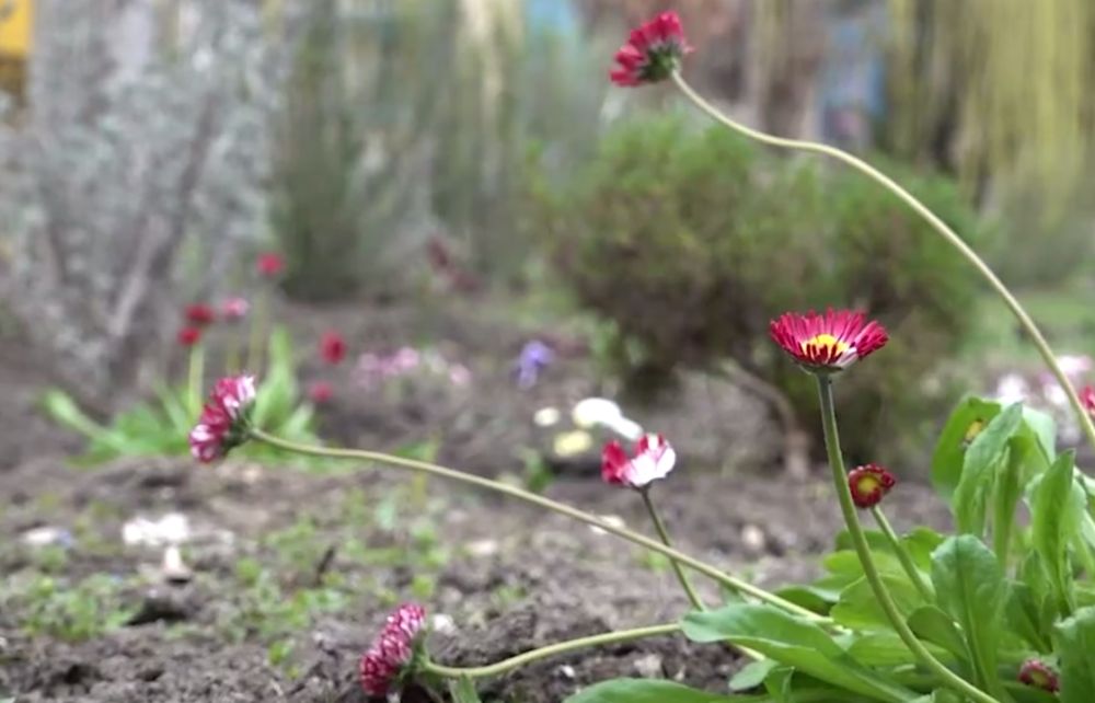 ����������� ������������ � ���������� ��������� ���������� ������� �������� ������������� ���������� �������� �������� �����