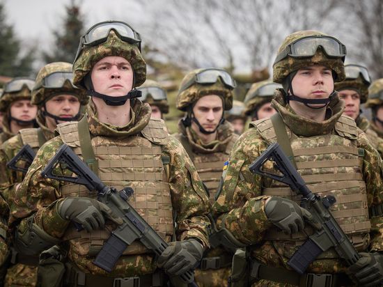 �������� ������ ����� ������� ����������� ����������� ���