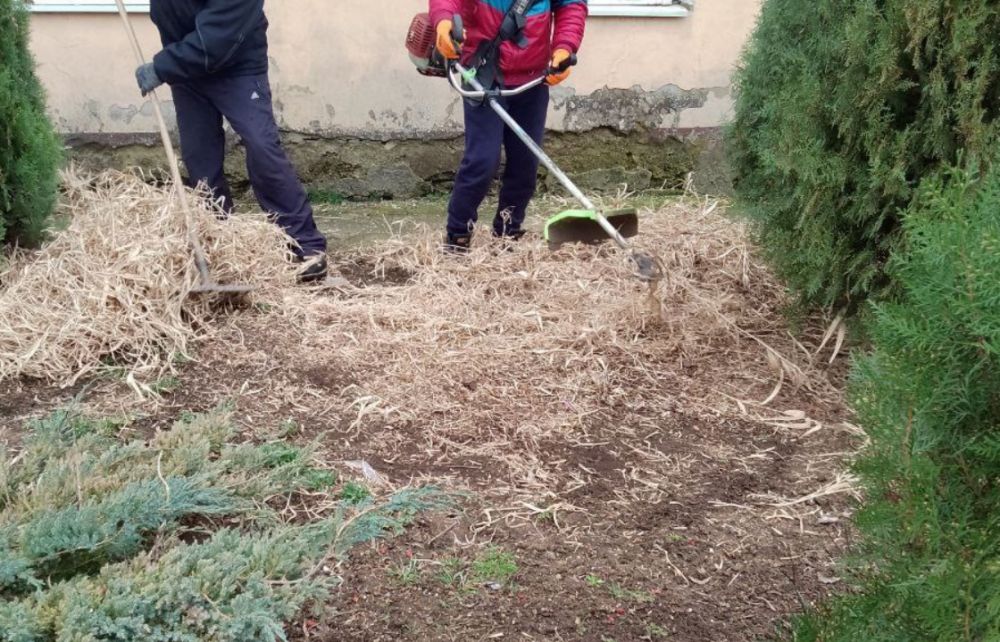 � ���������� ������� ���������� ��������������� ����������