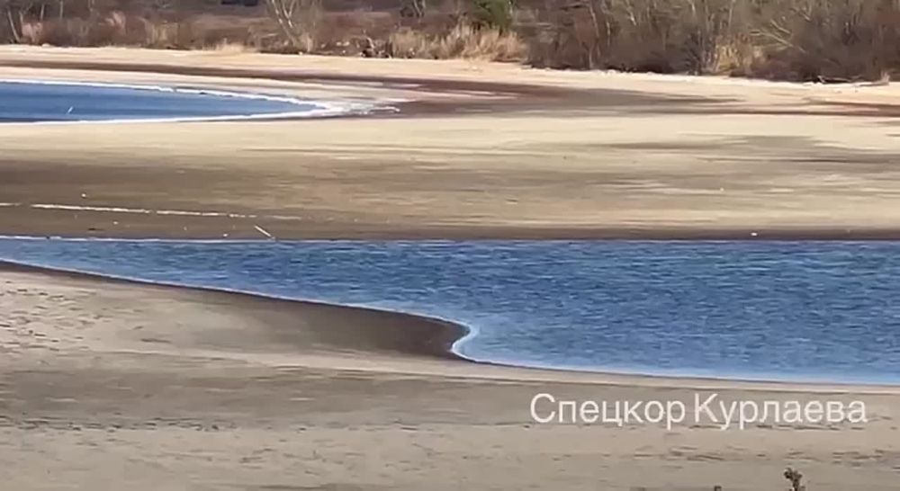 � ��������� ������������� �������� ��� ������ ����