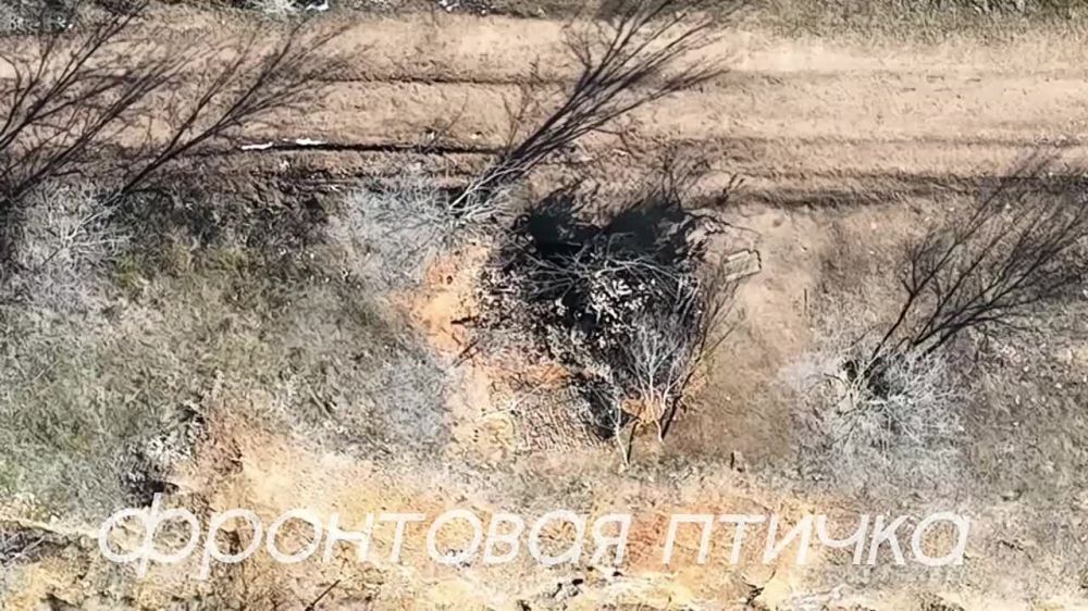 �������������� �� VS �-1