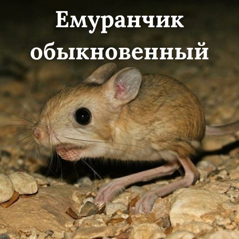 ������������ ��������� �������� � �������� ���������� �������